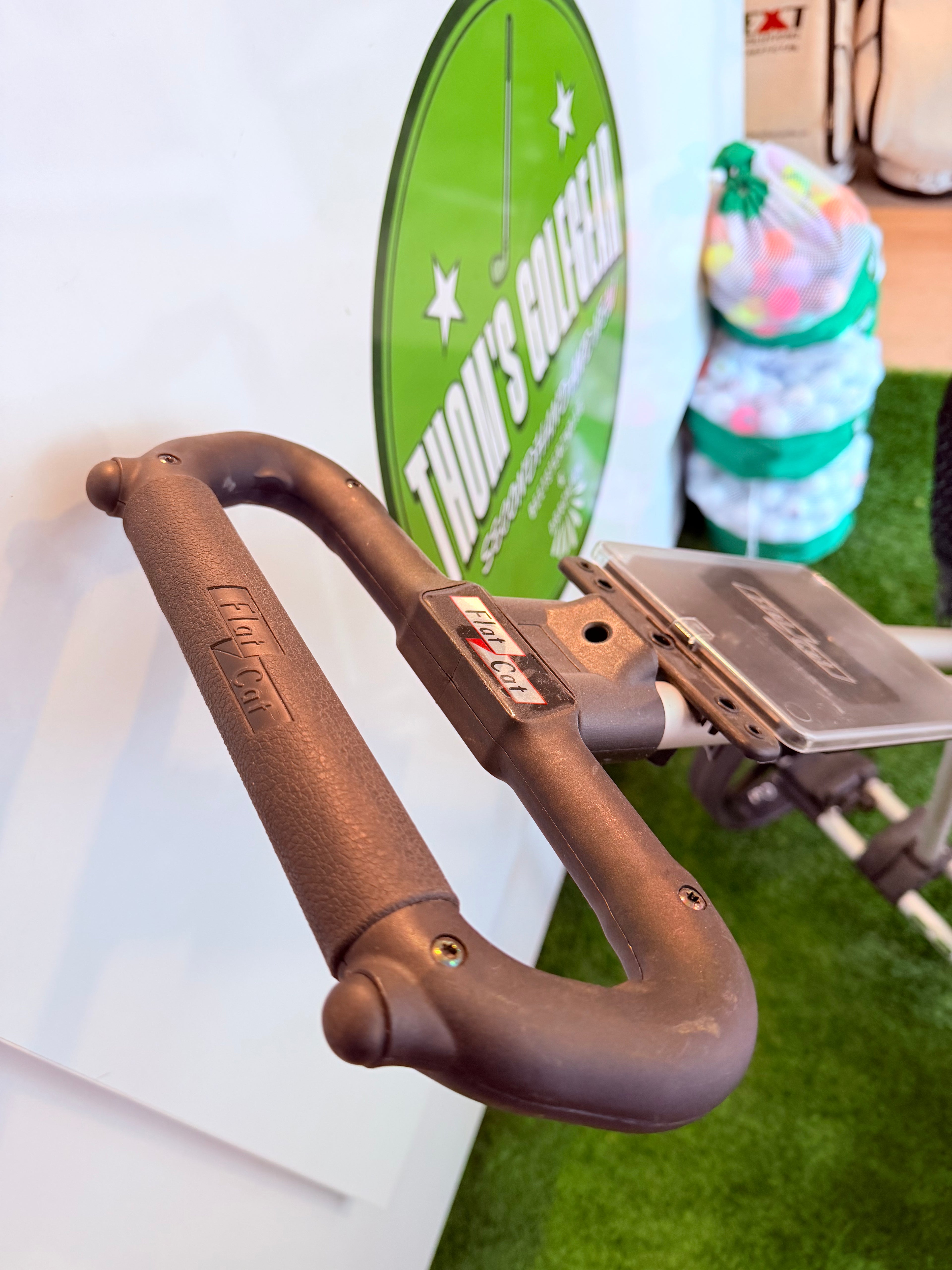 Flat Cat Push and Pull Trolley