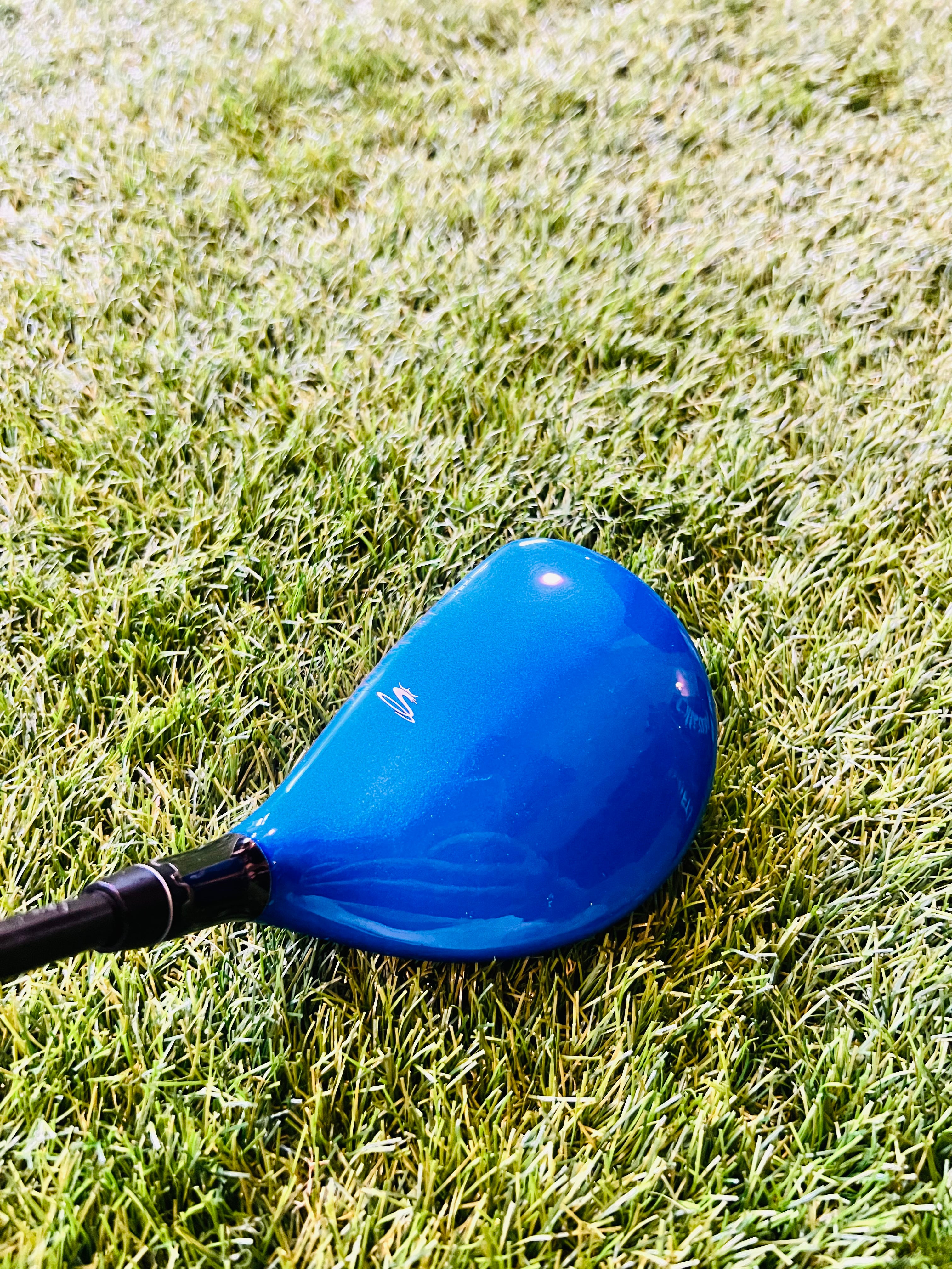 Bovenaanzicht Cobra Biocell Fairwaywood