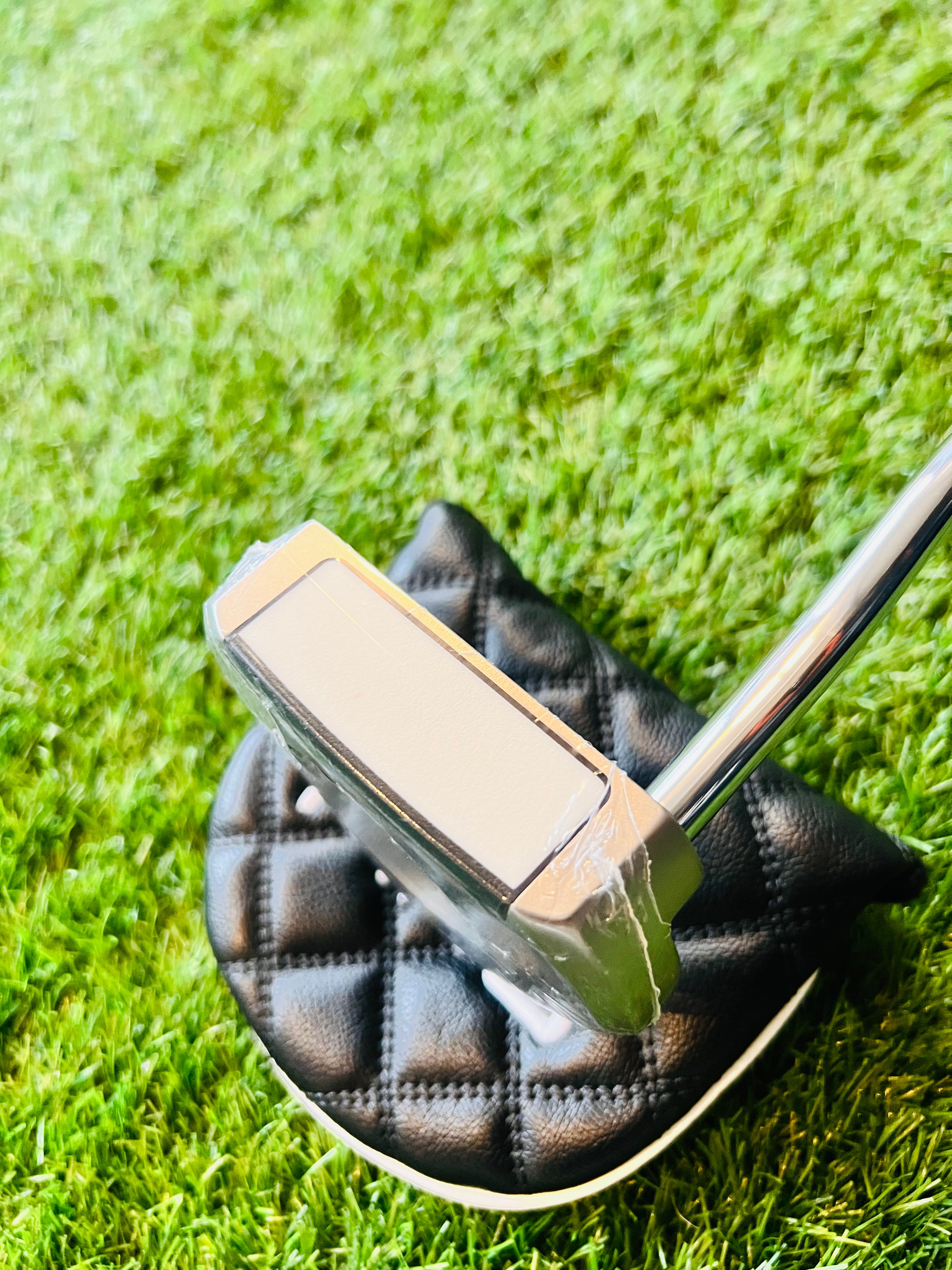 PING Fetch Putter Clubface