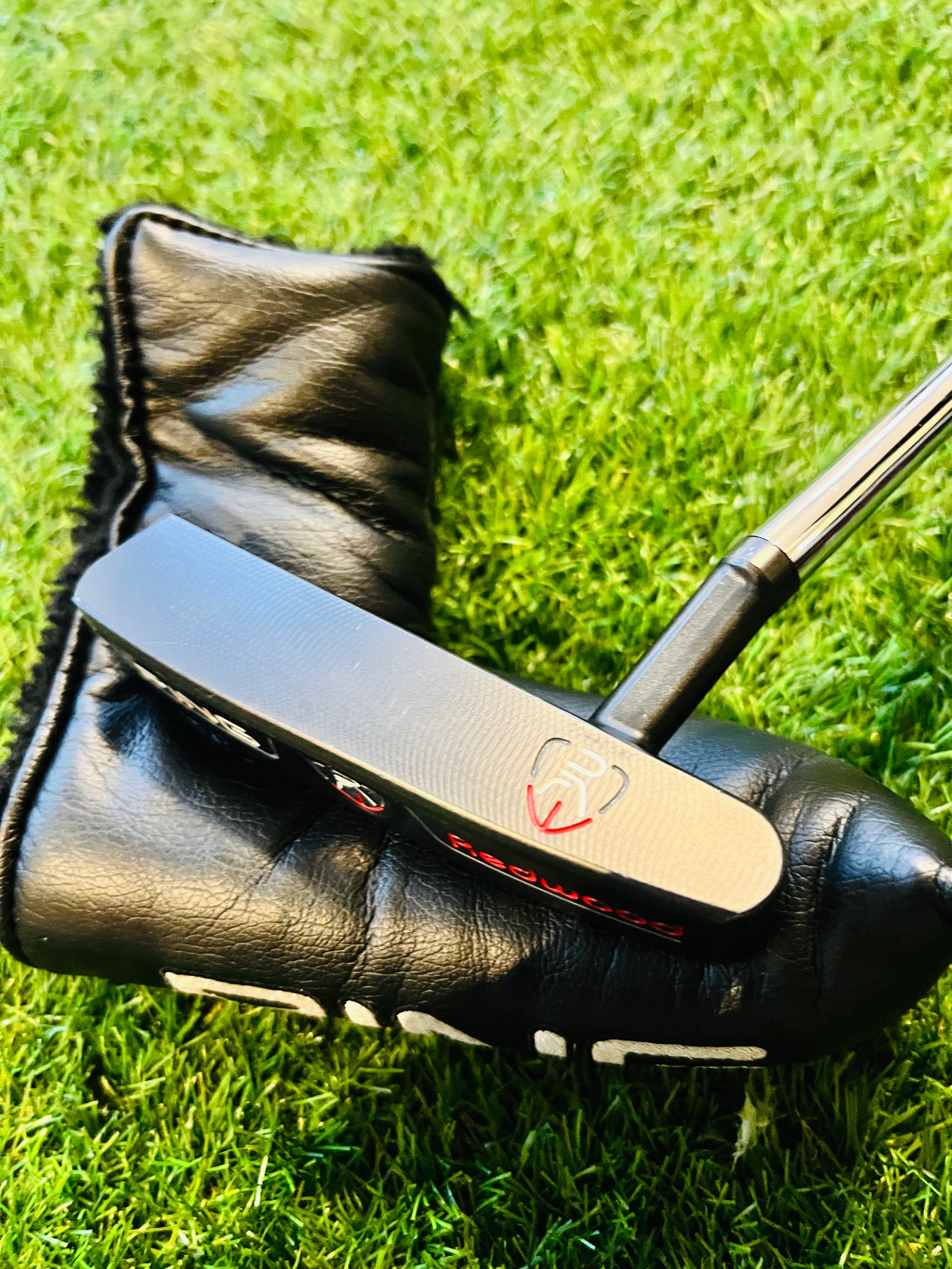 PING ZING Redwood Putte Clubface